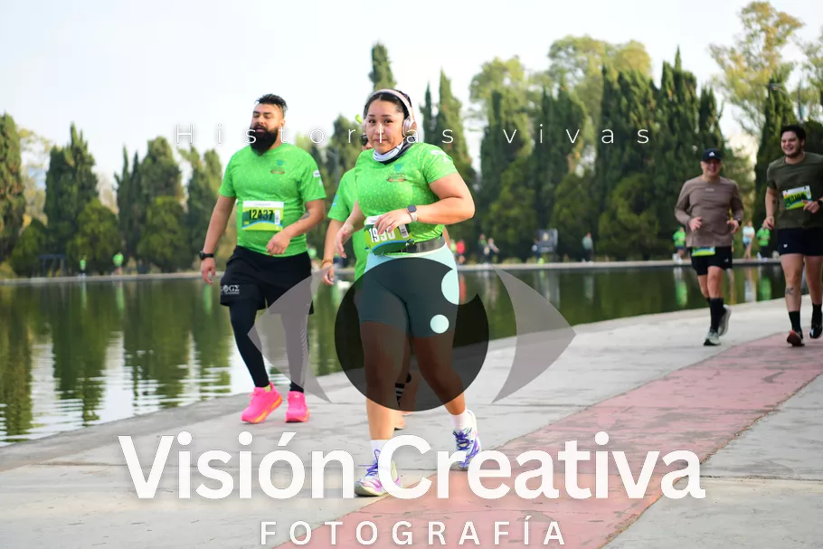 Foto del evento Shrek - CDMX 2026