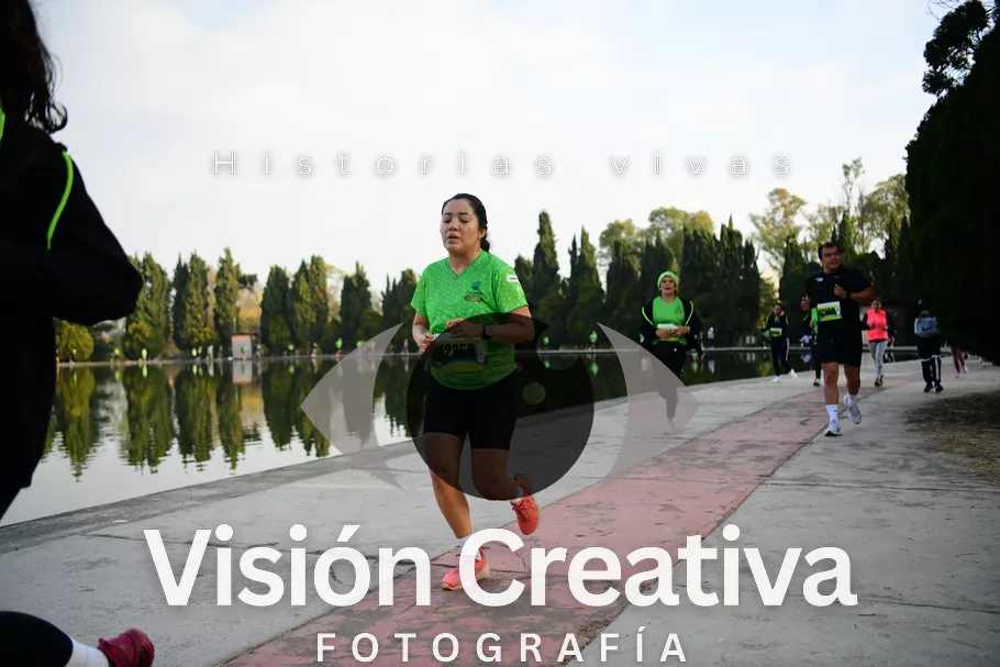 Foto del evento Shrek - CDMX 2026