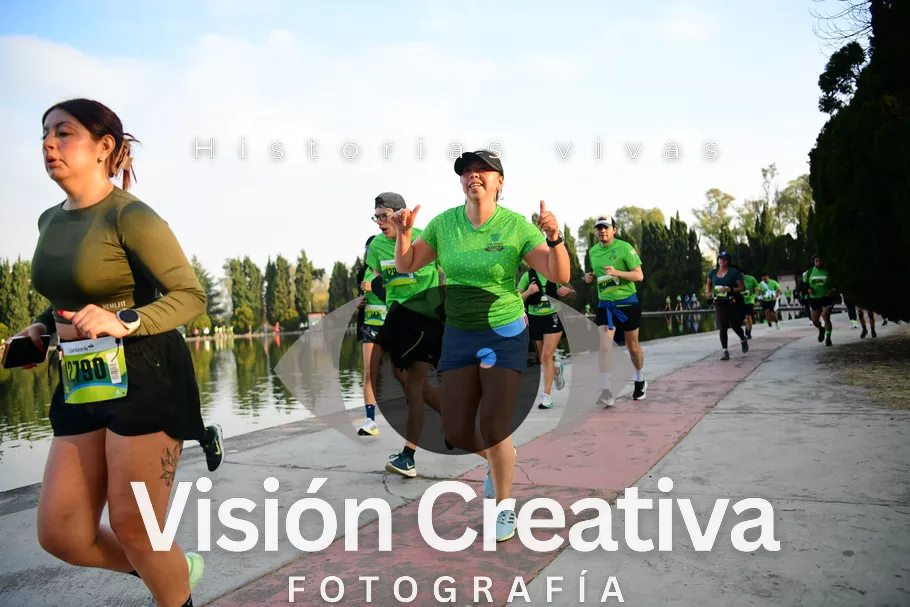Foto del evento Shrek - CDMX 2026
