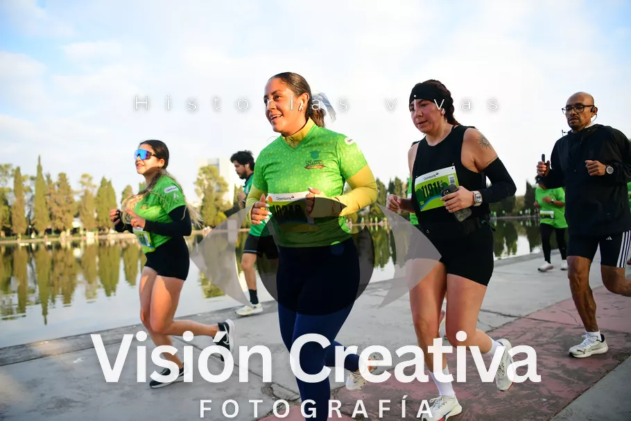 Foto del evento Shrek - CDMX 2026