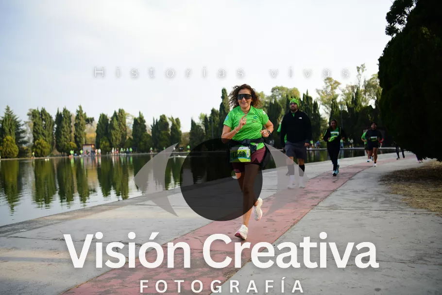 Foto del evento Shrek - CDMX 2026