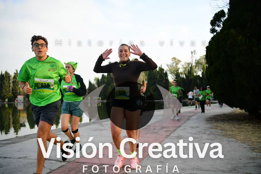 Foto del evento Shrek - CDMX 2026