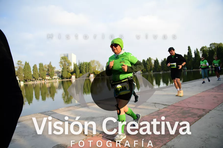 Foto del evento Shrek - CDMX 2026