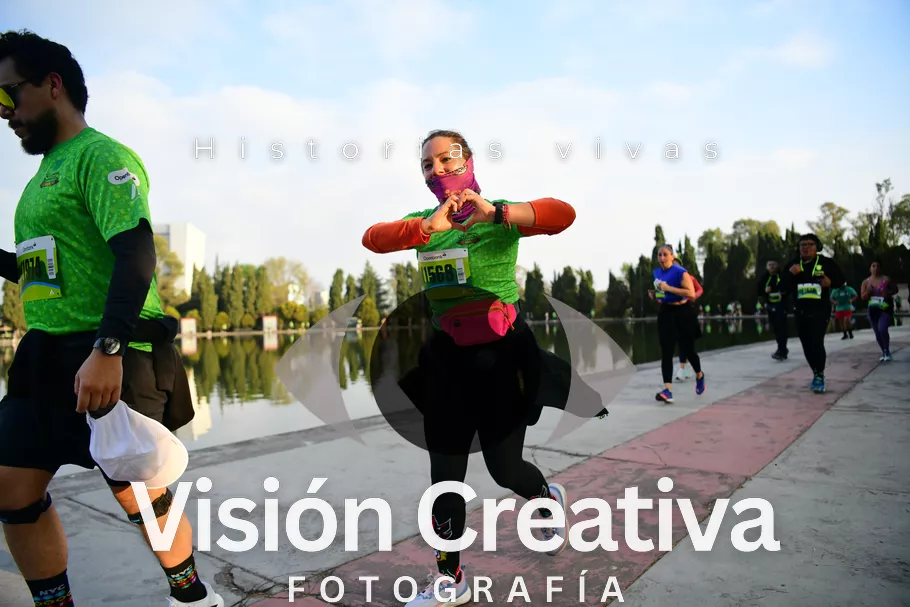 Foto del evento Shrek - CDMX 2026