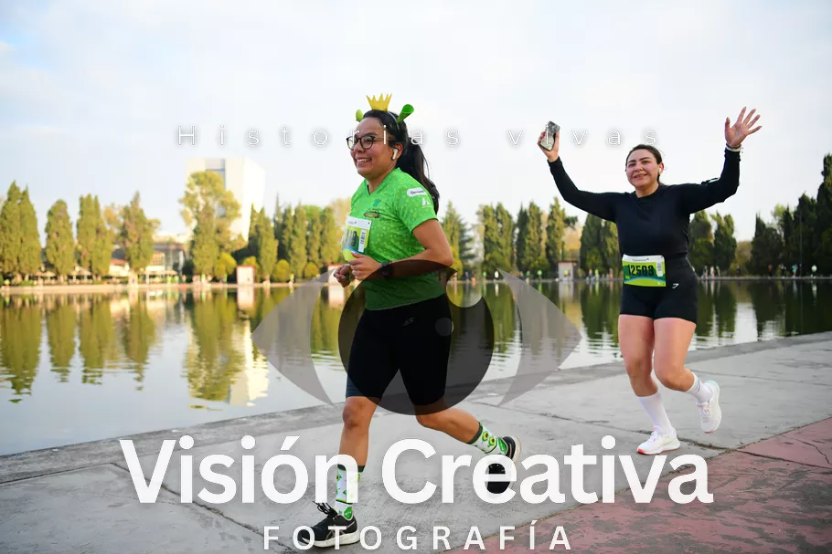 Foto del evento Shrek - CDMX 2026