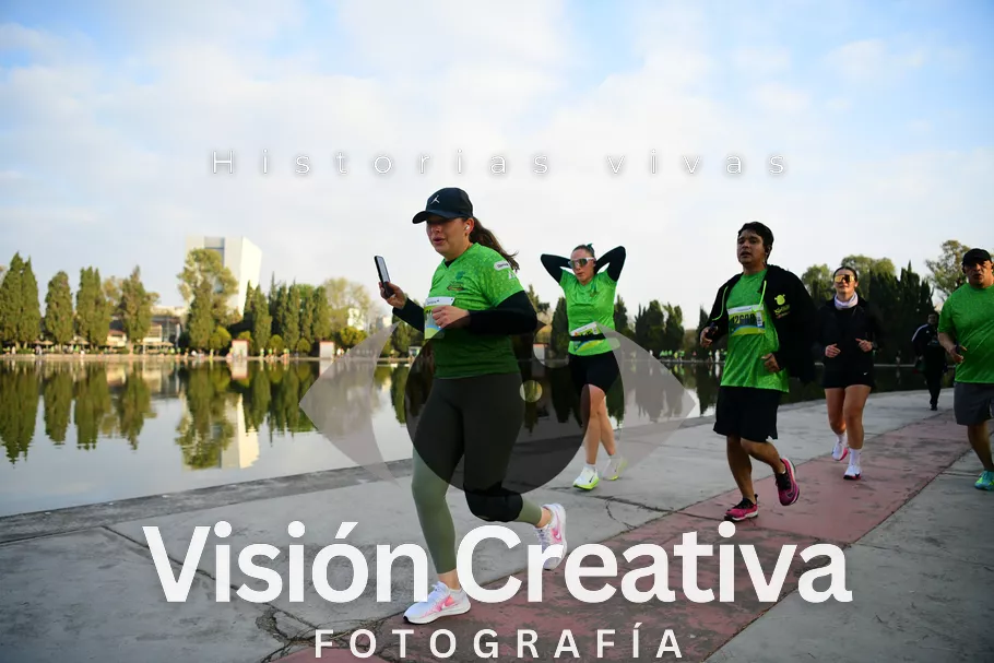 Foto del evento Shrek - CDMX 2026