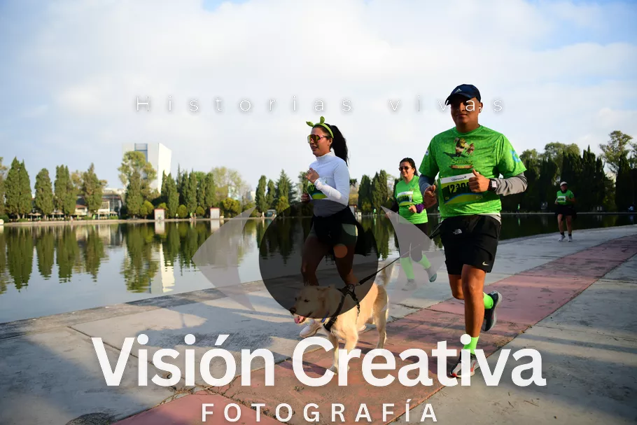 Foto del evento Shrek - CDMX 2026