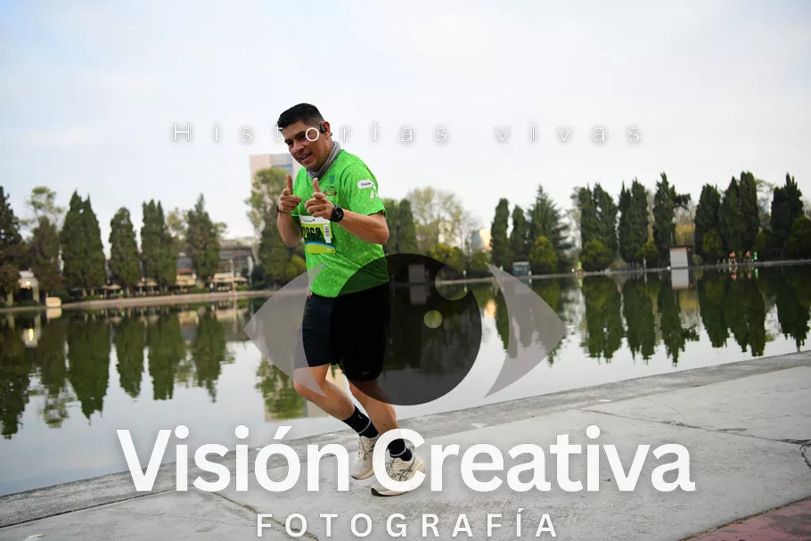 Foto del evento Shrek - CDMX 2026