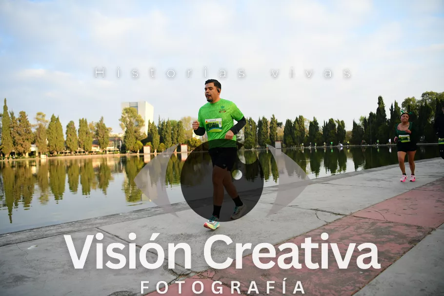 Foto del evento Shrek - CDMX 2026