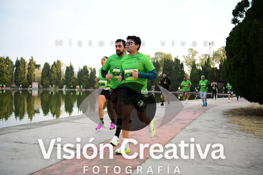 Foto del evento Shrek - CDMX 2026