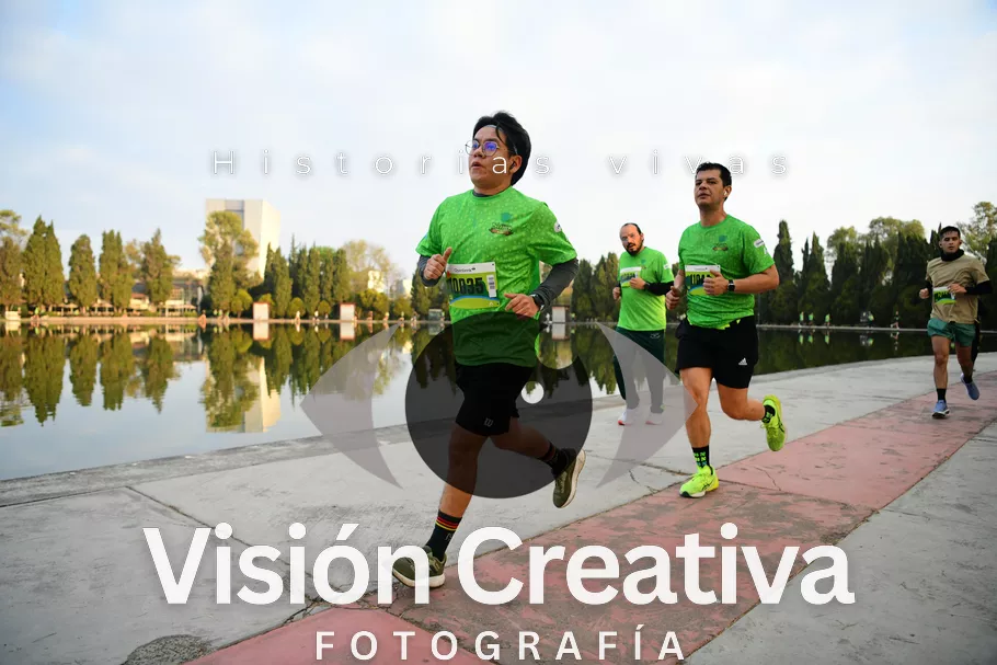 Foto del evento Shrek - CDMX 2026