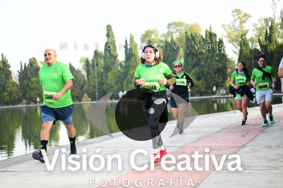 Foto del evento Shrek - CDMX 2026