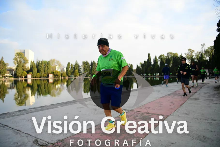Foto del evento Shrek - CDMX 2026