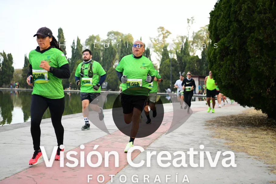 Foto del evento Shrek - CDMX 2026