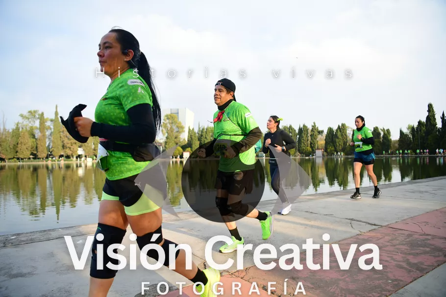 Foto del evento Shrek - CDMX 2026