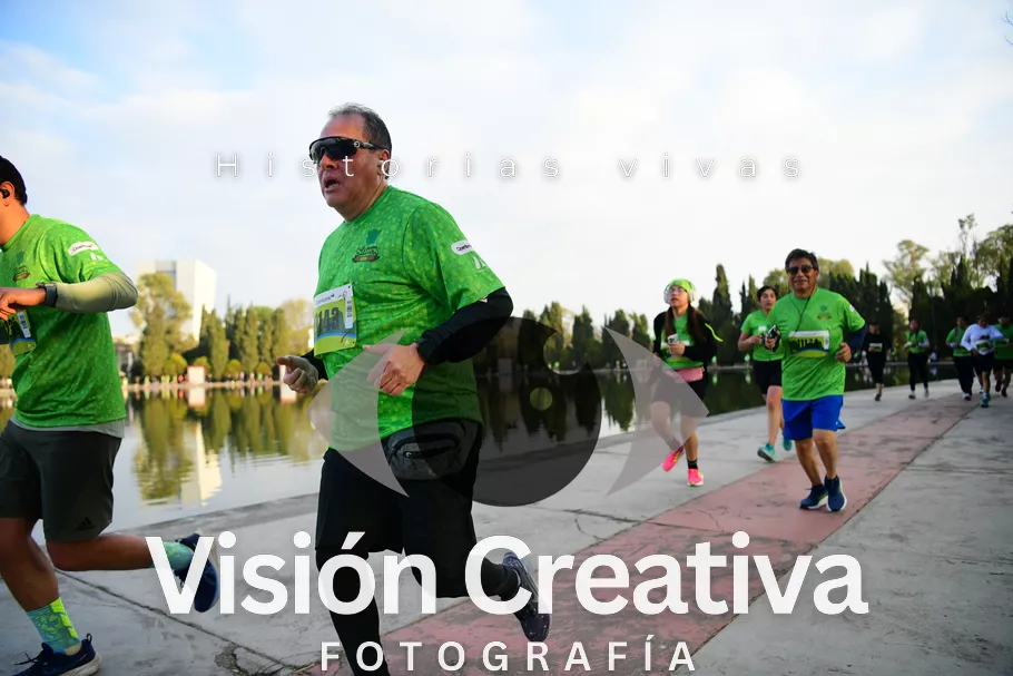 Foto del evento Shrek - CDMX 2026