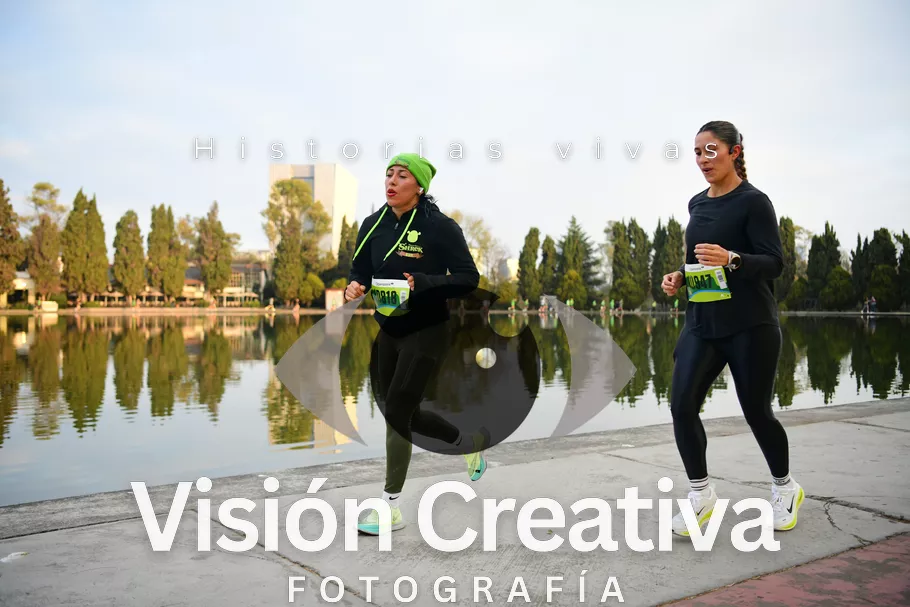 Foto del evento Shrek - CDMX 2026