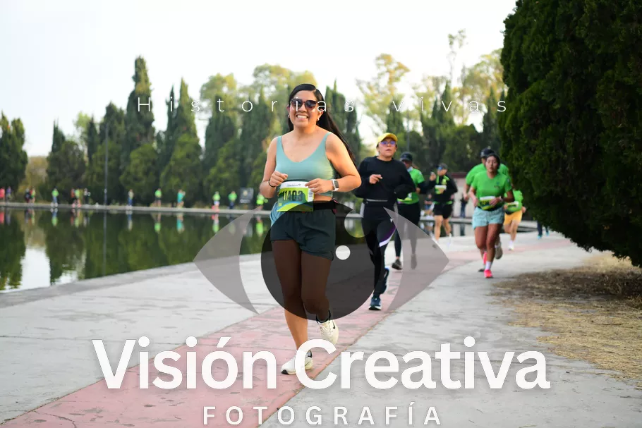 Foto del evento Shrek - CDMX 2026