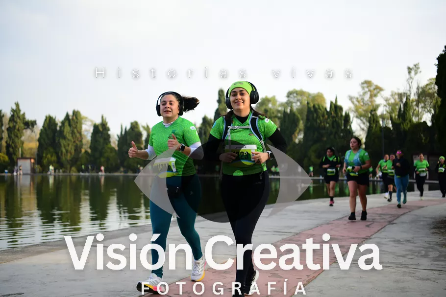 Foto del evento Shrek - CDMX 2026