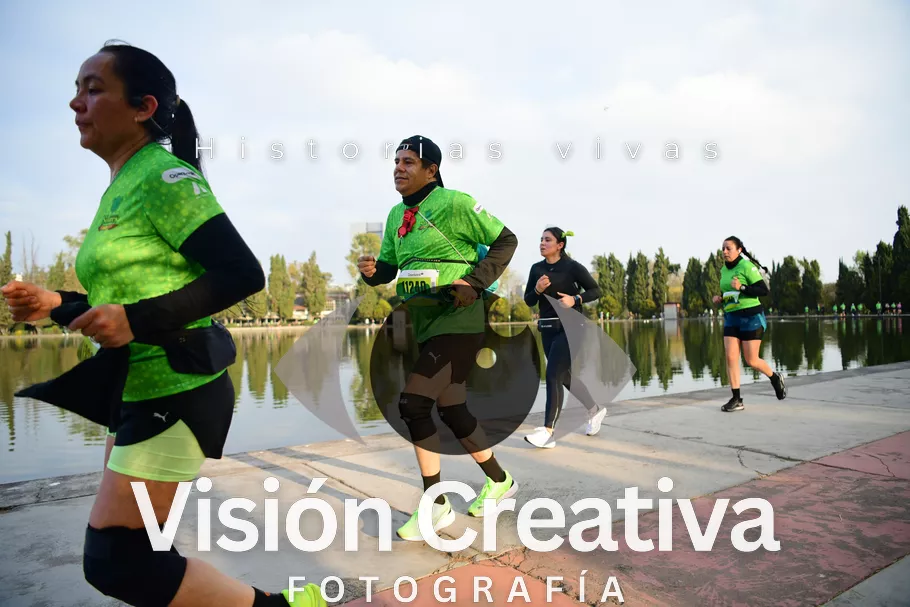 Foto del evento Shrek - CDMX 2026