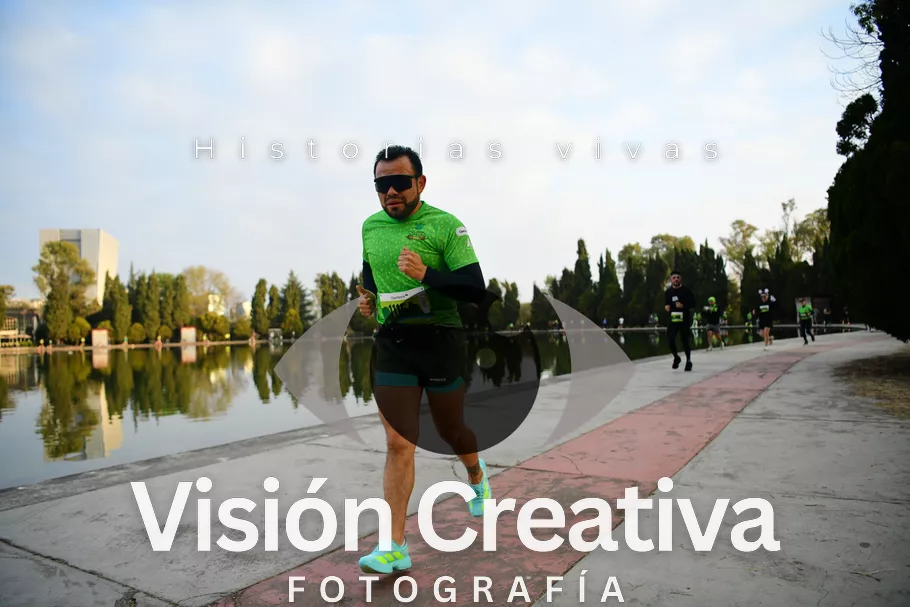 Foto del evento Shrek - CDMX 2026