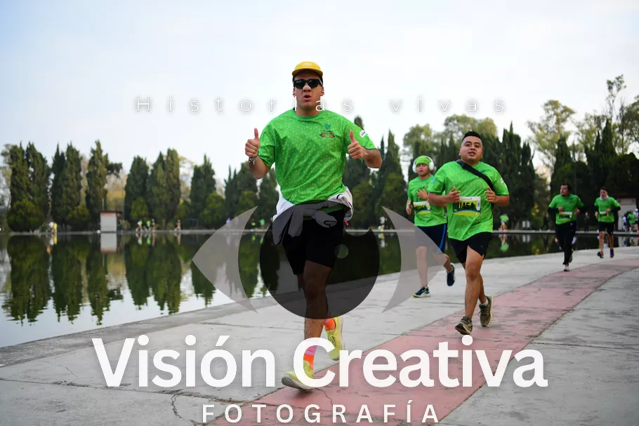 Foto del evento Shrek - CDMX 2026
