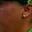 Rostro 2