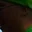 Rostro 2