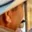 Rostro 2