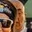 Rostro 2