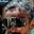 Rostro 1