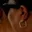 Rostro 3