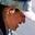 Rostro 1
