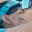 Rostro 2