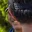 Rostro 2