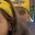 Rostro 6