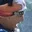 Rostro 1