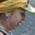 Rostro 1