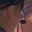 Rostro 2