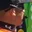 Rostro 1