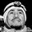 Rostro 1