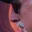 Rostro 2