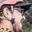 Rostro 1