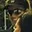 Rostro 2