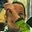 Rostro 2