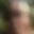 Rostro 6