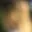 Rostro 4