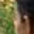 Rostro 2