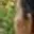 Rostro 3