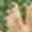 Rostro 5